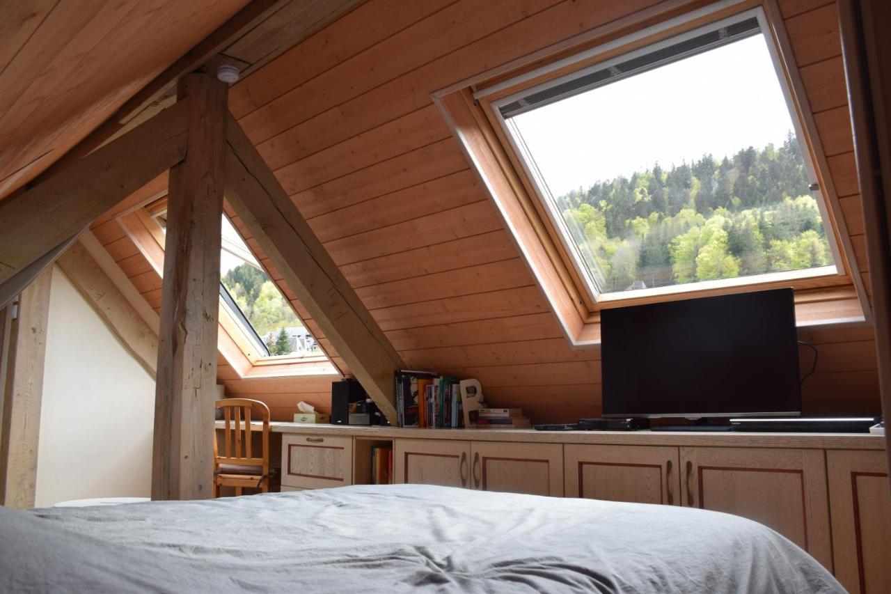 Apartment Petit Duplex De Charme Sous Les Toits Du Mont-dore *